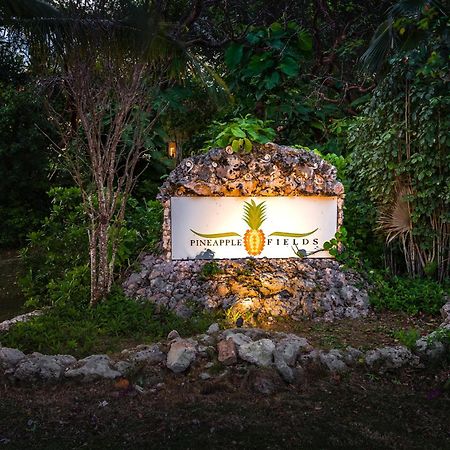 Pineapple Fields Aparthotel โกเวอร์เนอร์สฮาร์เบอร์ ภายนอก รูปภาพ